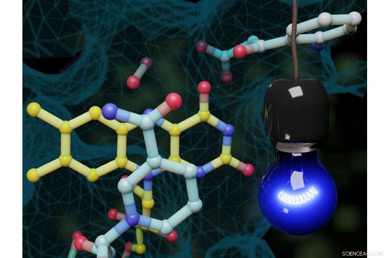 Scientists Harness Light to Activate Enzymes