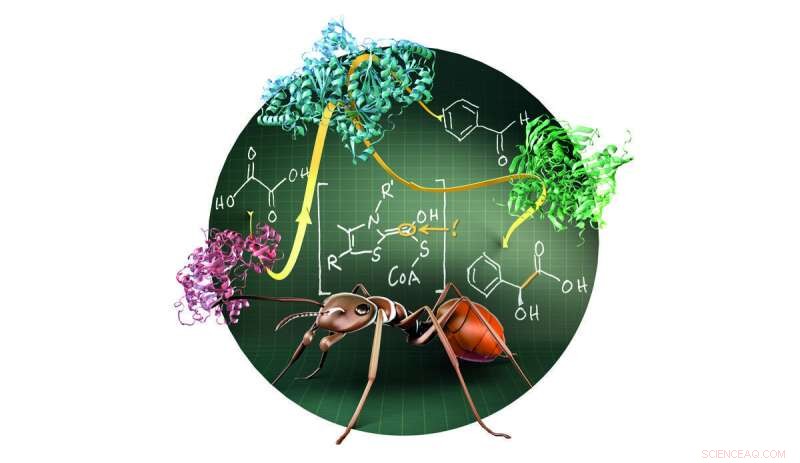 Eco‑Friendly Synthesis of Mandelic Acid: Sustainable, Low‑Waste Production
