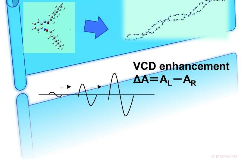Unveiling Real‑Time Chirality Amplification with Advanced VCD Spectroscopy