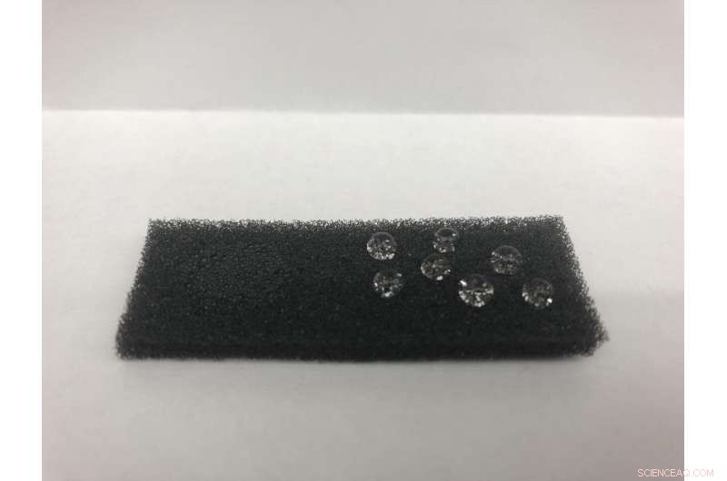 Northwestern University’s Smart Sponge Efficiently Sequesters Oil from Water