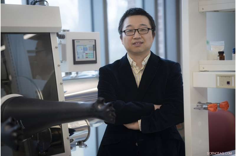 Plant Biomass Waste Powers Next-Gen Self-Driven Biomedical Devices