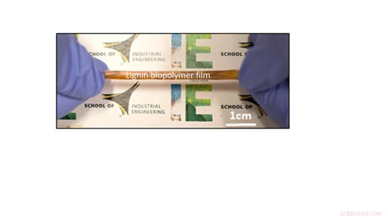 Plant Biomass Waste Powers Next-Gen Self-Driven Biomedical Devices