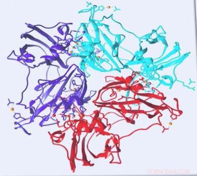 Tiny Enzyme Movements Could Revolutionize Biofuel Cells