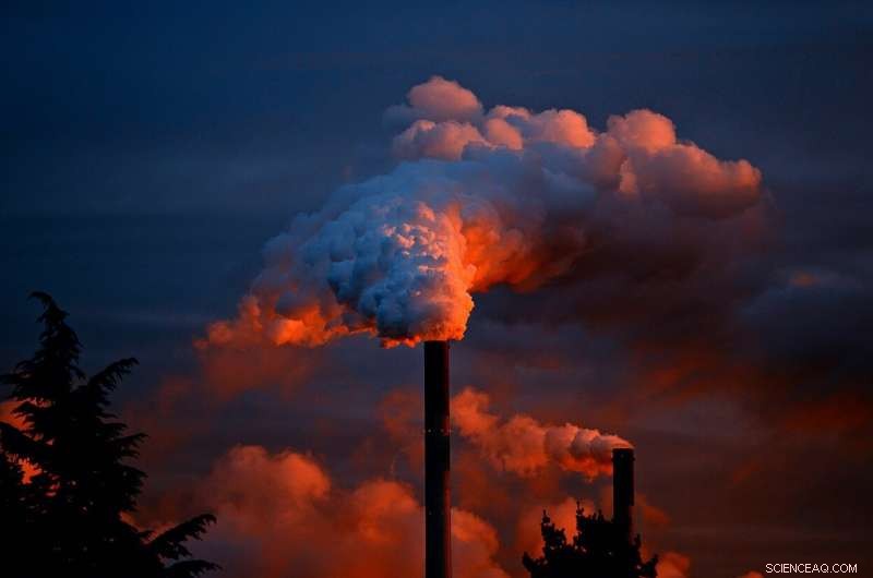 How Air Pollution Impacts the Brain: Latest Neurological Findings