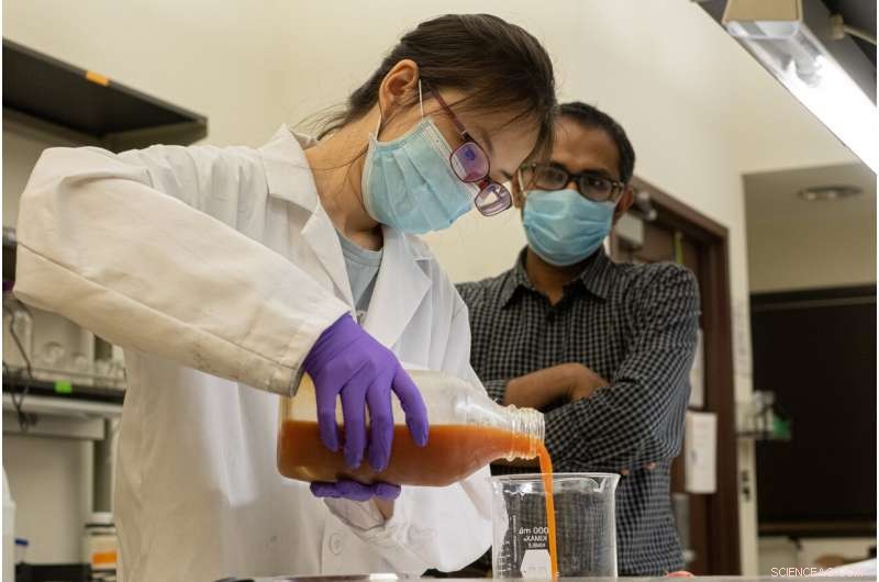 Egg‑Protein Coating from Rice University Keeps Produce Fresh Longer