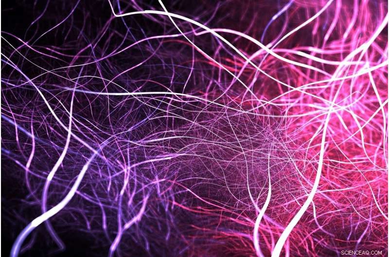 Nature‑Inspired Coating Enhances Drug Stability, Reducing Premature Degradation