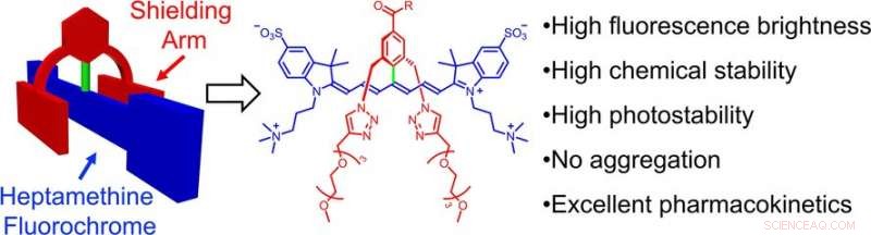 High-Performance Near‑Infrared Fluorescent Dyes for Reliable In‑Vivo Imaging