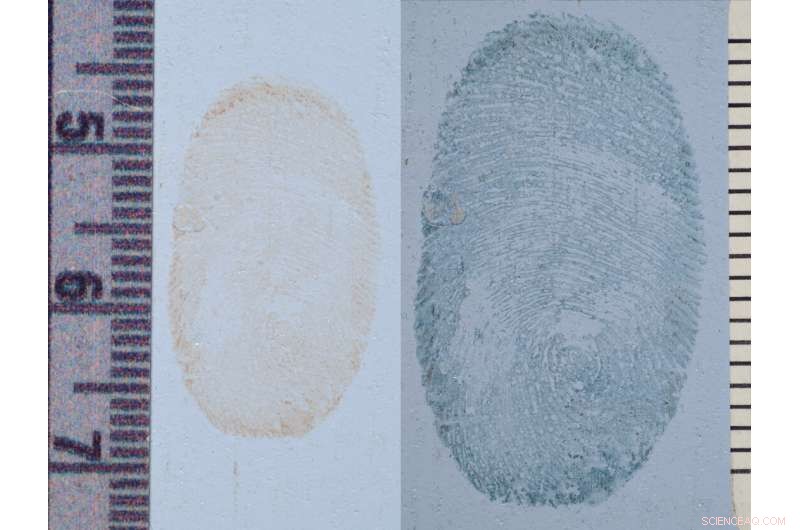 Study Tests Household Slime as Innovative Forensic Tool