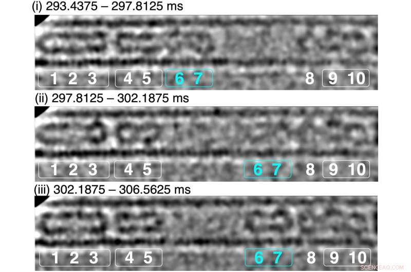 Researchers Record Single Molecules in Real-Time Video at 1,600 FPS