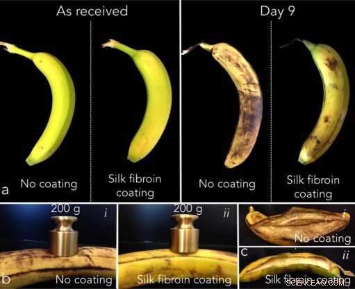 MIT Startup Innovates Food Preservation with Silk Coatings