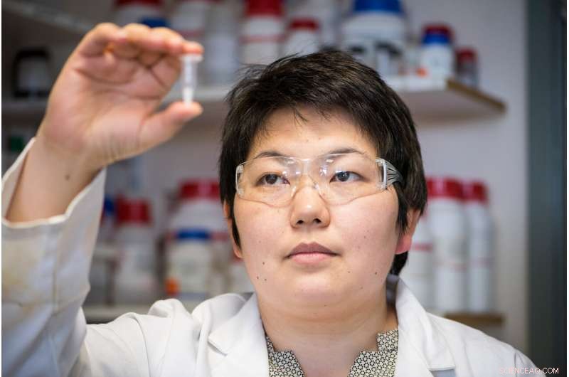 Revolutionary Research Enables Temperature‑Stable Childhood Vaccines