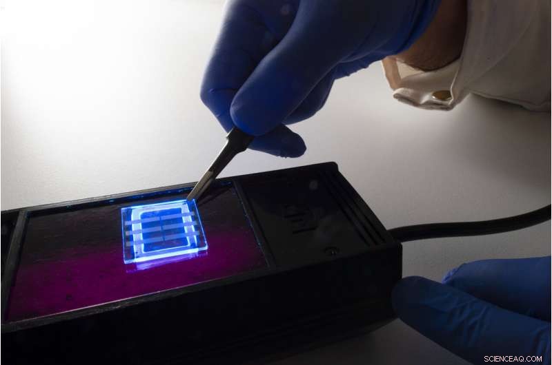 Revolutionary Flexible Displays Made from Human Hair: A Breakthrough for Smart Devices