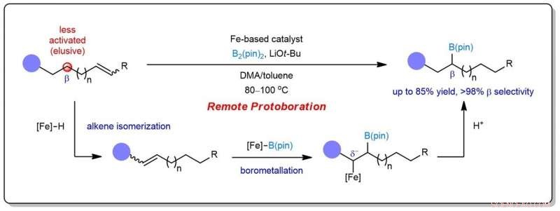 Iron-Catalyzed Alkene Borylation: A Sustainable, Site‑Selective Approach