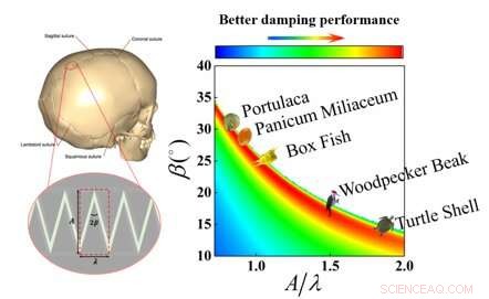 Optimizing Biomaterial Damping: The Impact of Delicate Suture Structures