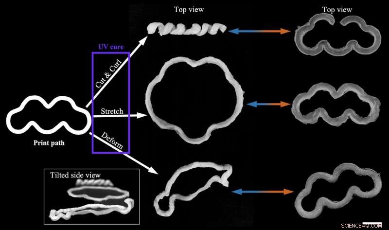 Rice University Lab Makes 4-D Printing More Practical