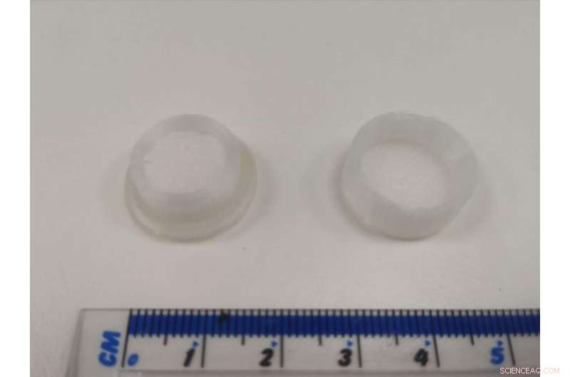 Revolutionizing Medication: 3D-Printed, Magnetically Controlled Pills for Personalized Therapy