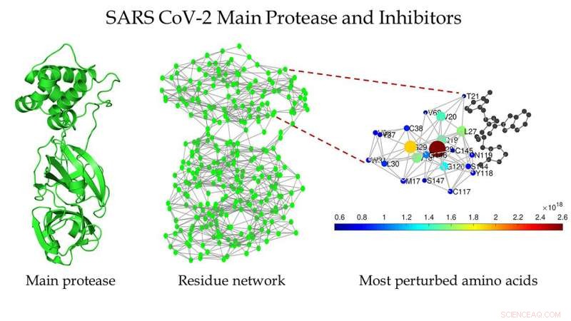 Inhibiting SARS‑CoV‑2 Main Protease: Targeting the Viral Enzyme for Therapeutic Development