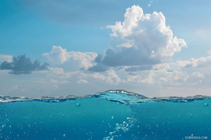 Scientists Develop Innovative Biomimetic Diamond Film to Combat Biofouling