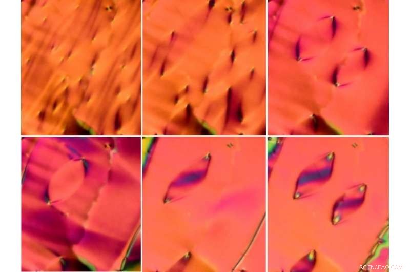 Scientists Discover New Liquid Crystal Phase After a Century of Search