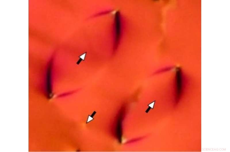 Scientists Discover New Liquid Crystal Phase After a Century of Search