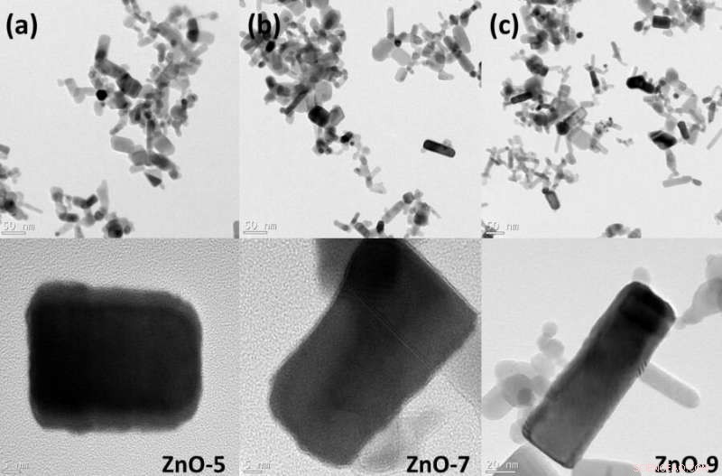 UNSW Engineers Develop Innovative Process to Convert CO₂ Emissions into Valuable Materials