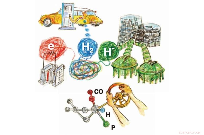 Single Catalyst, Three Hydrogen Uses: A Molecular Twist Enables Fuel Cells, Production, and Hydrogenation