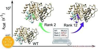 Reviving Ancient Enzymes to Drive Sustainable Chemistry
