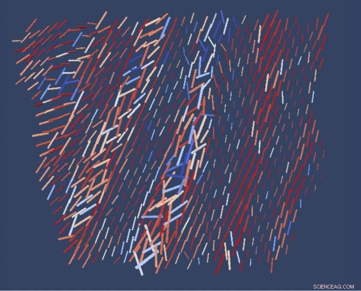 Revolutionary 3‑D X‑Ray Technique Unveils Hidden Bone Architecture