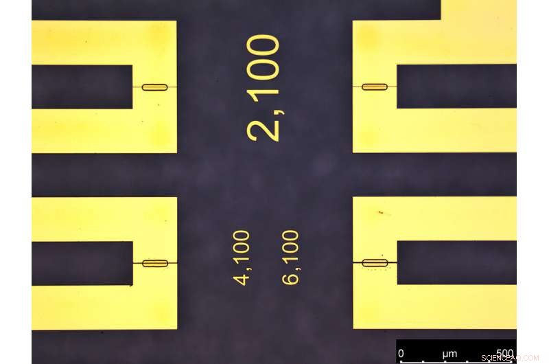 Ammonium Salt Solution Boosts Performance of Organic Electrochemical Transistors