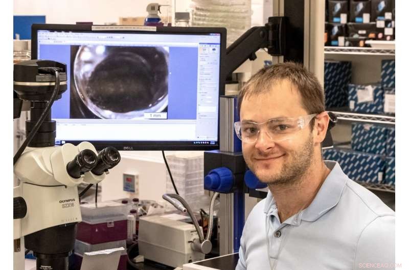 From HIV to COVID-19: Neutron Scattering Unveils Viral Protein Structures