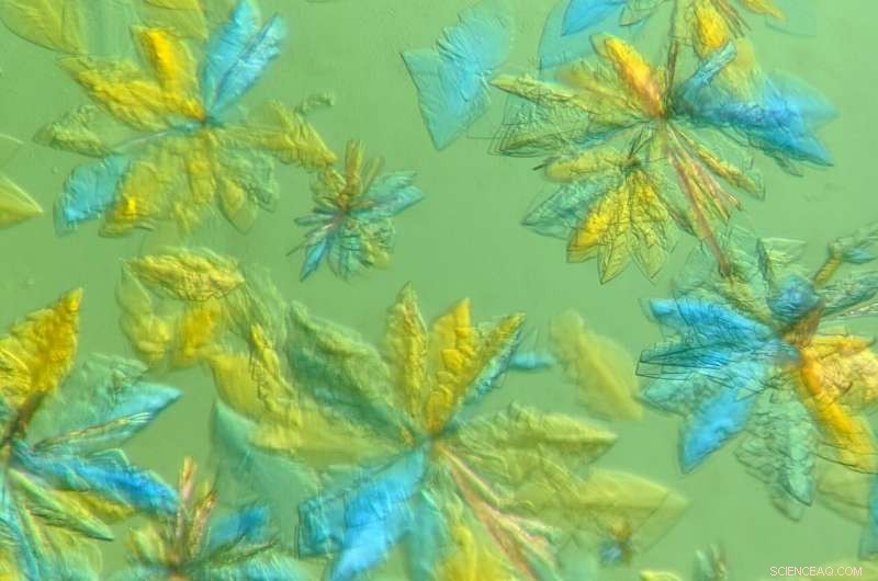 From HIV to COVID-19: Neutron Scattering Unveils Viral Protein Structures