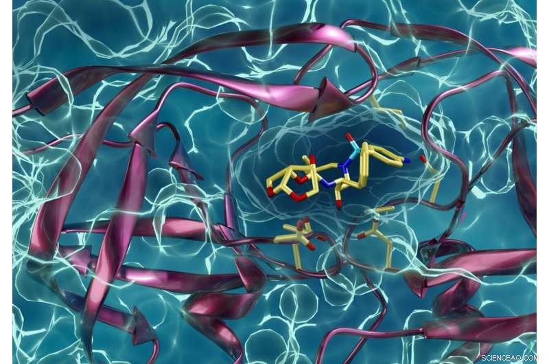 From HIV to COVID-19: Neutron Scattering Unveils Viral Protein Structures