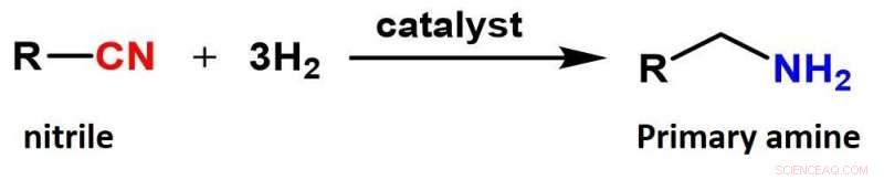 Efficient and Sustainable Nitrile Hydrogenation: High Performance Without Compromise