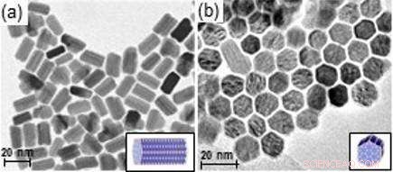 Efficient and Sustainable Nitrile Hydrogenation: High Performance Without Compromise