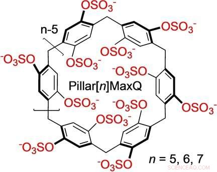 Advanced Molecular Containers for Sequestering Neurotransmitter Drugs in Aqueous Environments