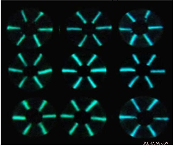 Rapid Antibody Detection Using Luminescent Proteins, Flexible Threads, and Smartphone Imaging