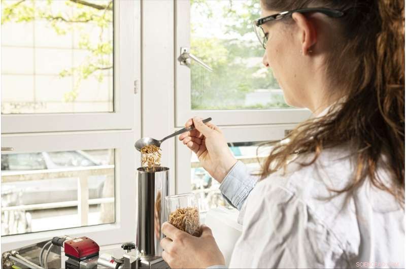 Innovating Nutrition: The Role of Insect Flours in Sustainable Food Technology