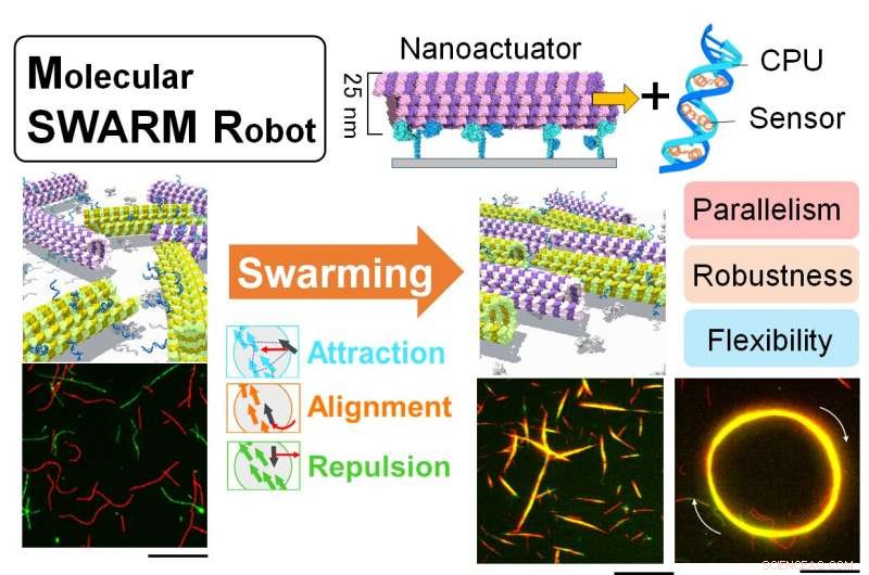 Scientists Engineer Microscopic Robots to Swarm and Execute Complex Tasks
