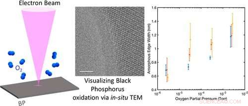 Engineers Uncover Black Phosphorus  Potential for Ultra‑Low‑Power Flexible Electronics