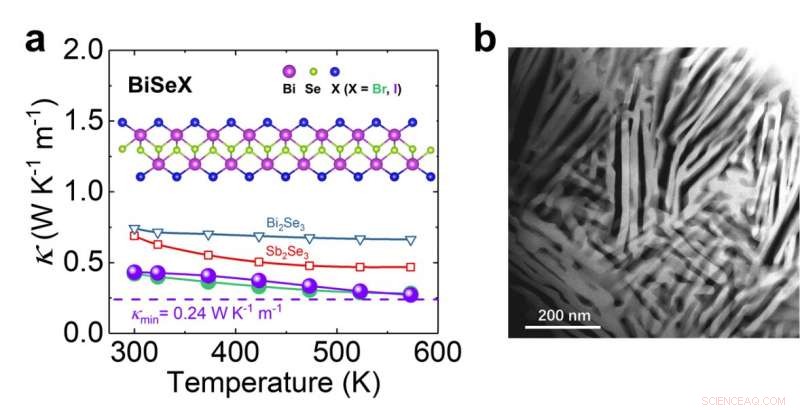 Unveiling Remarkably Low Thermal Conductivity in One-Dimensional Soft Chain Structures