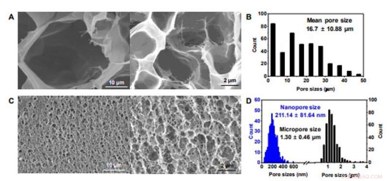 Ion-Conductive Hydrogel Artificial Tongue: Enhancing Astringency Perception