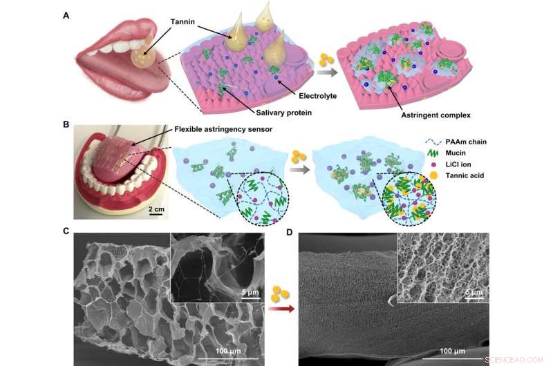 Ion-Conductive Hydrogel Artificial Tongue: Enhancing Astringency Perception