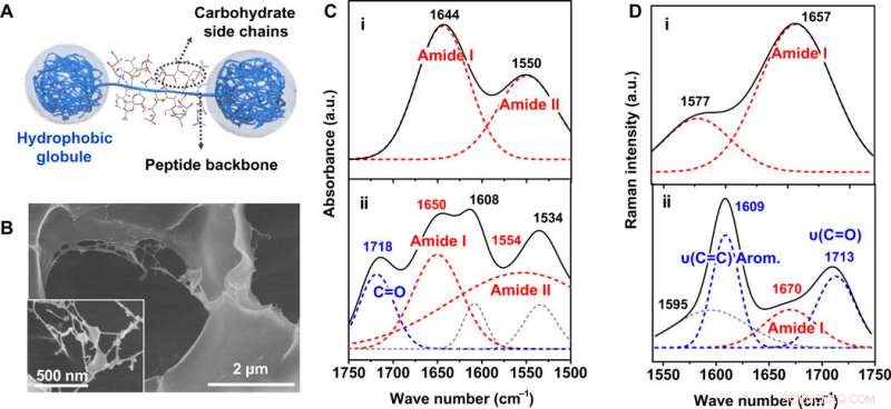 Ion-Conductive Hydrogel Artificial Tongue: Enhancing Astringency Perception