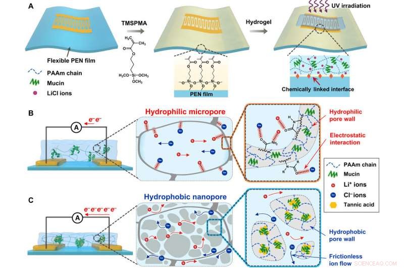 Ion-Conductive Hydrogel Artificial Tongue: Enhancing Astringency Perception