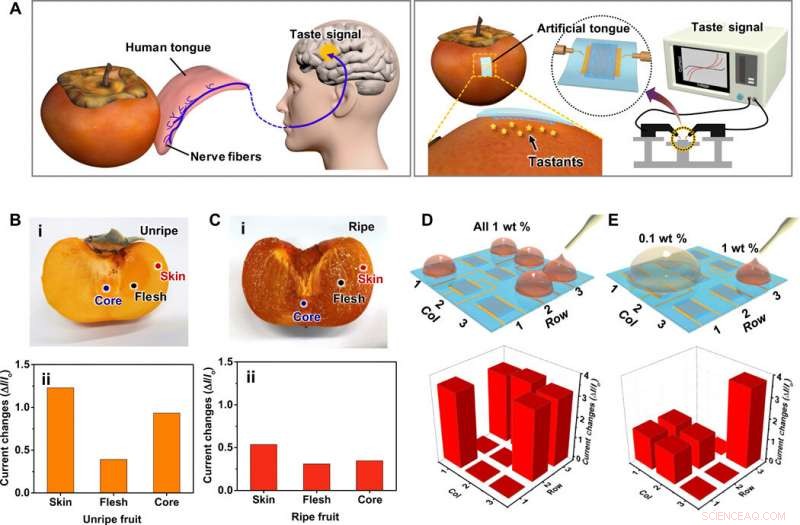 Ion-Conductive Hydrogel Artificial Tongue: Enhancing Astringency Perception