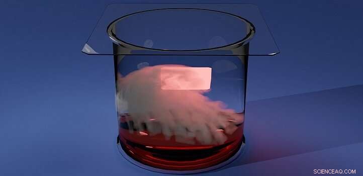 Bromine Vapor Treatment Enhances Performance of MAPbBr3 Perovskite Crystals