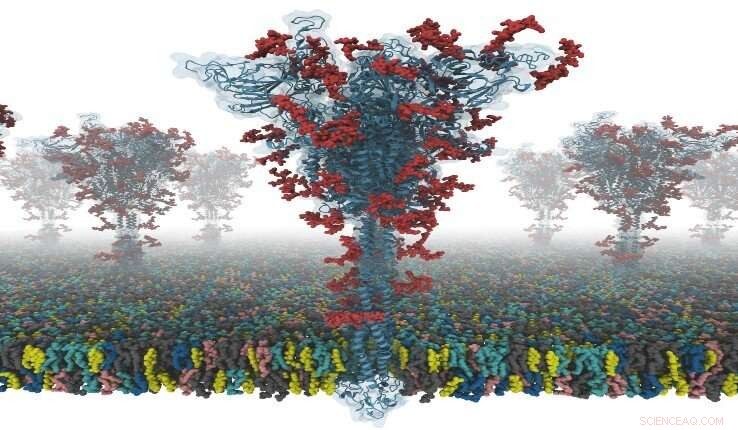 Scientists Release First Open-Source All-Atom Models of COVID-19 Spike Protein
