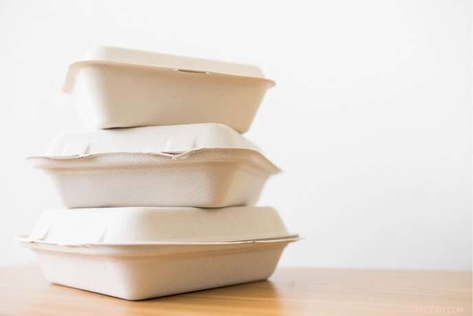 Extend Freshness, Cut Waste: Proven Tips to Prolong Food Shelf Life