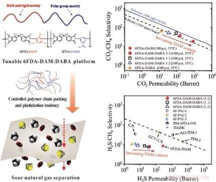 Polyimide Membranes: Efficient Purification of Sour Natural Gas