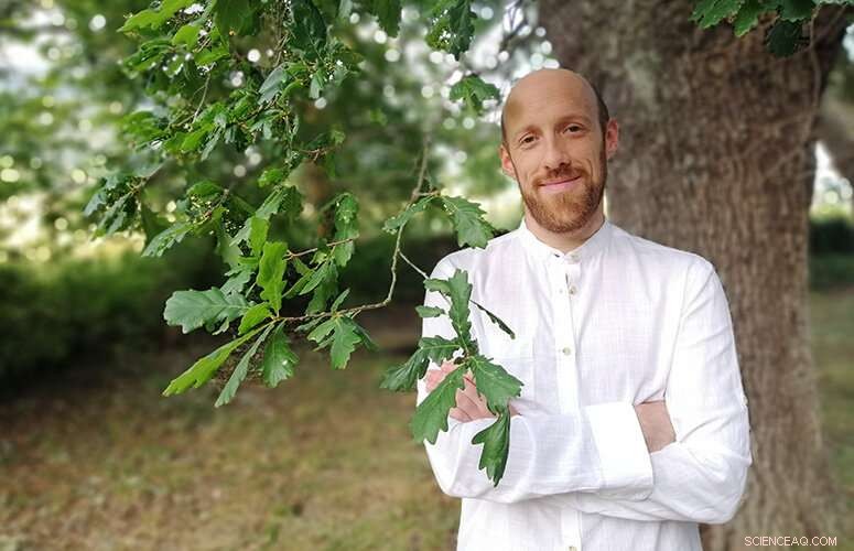 Harnessing Cellulose: A Sustainable Path to Advanced Material Innovation